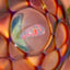 Small image 7