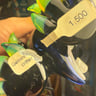 Small image 5