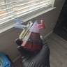Small image 0