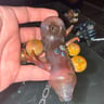 Small image 1