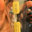 Small image 7