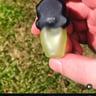 Small image 3