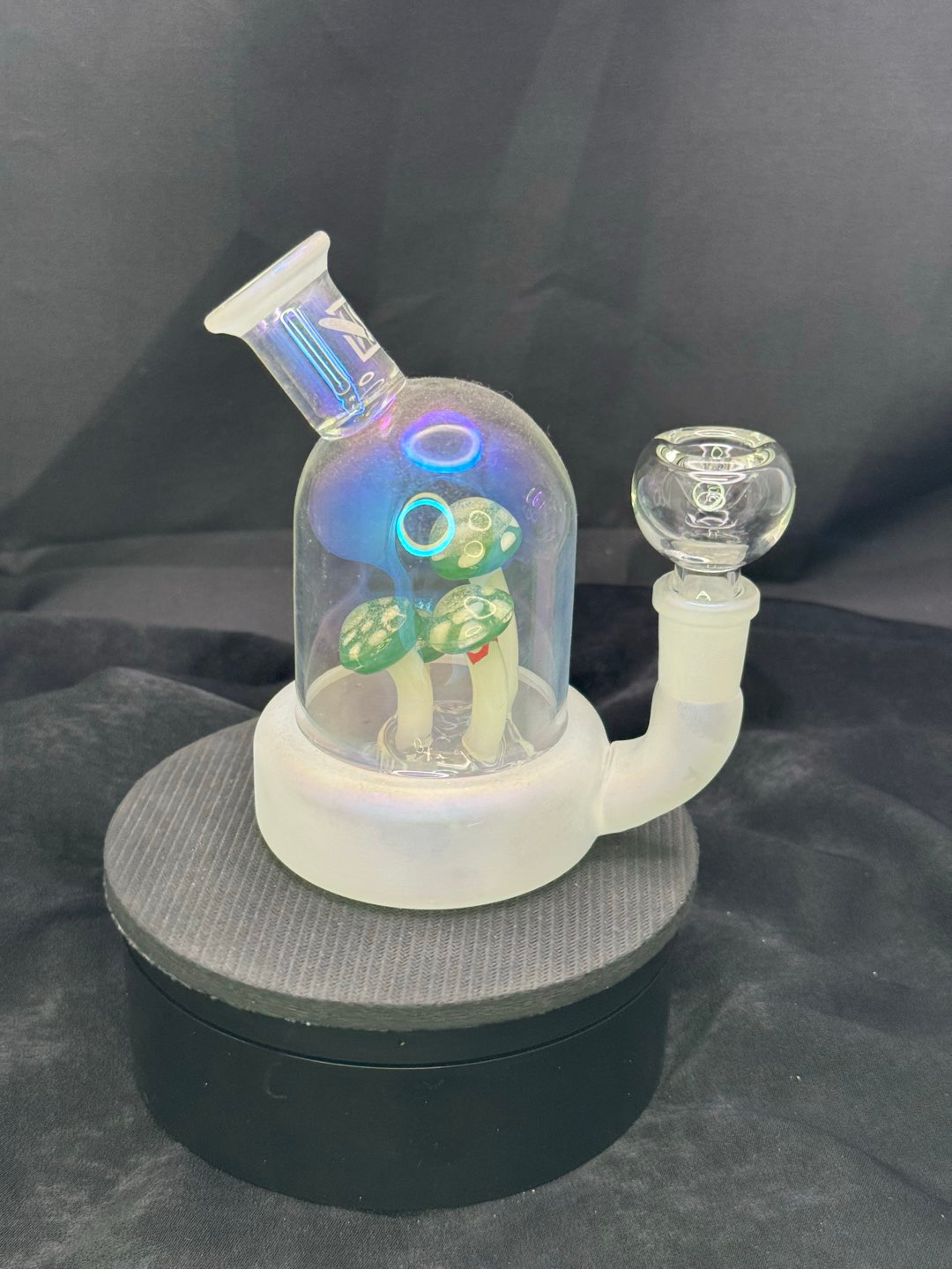 Preview pic of DHC Mushroom