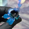 Small image 4