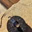 Small image 6