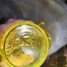 Small image 5