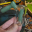 Small image 5
