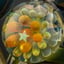 Small image 8