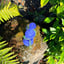 Small image 8
