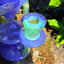 Small image 4