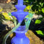 Small image 6