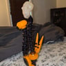 Small image 1