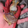 Small image 3