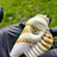 Small image 6
