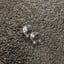 Small image 9