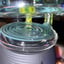 Small image 7