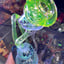 Small image 9