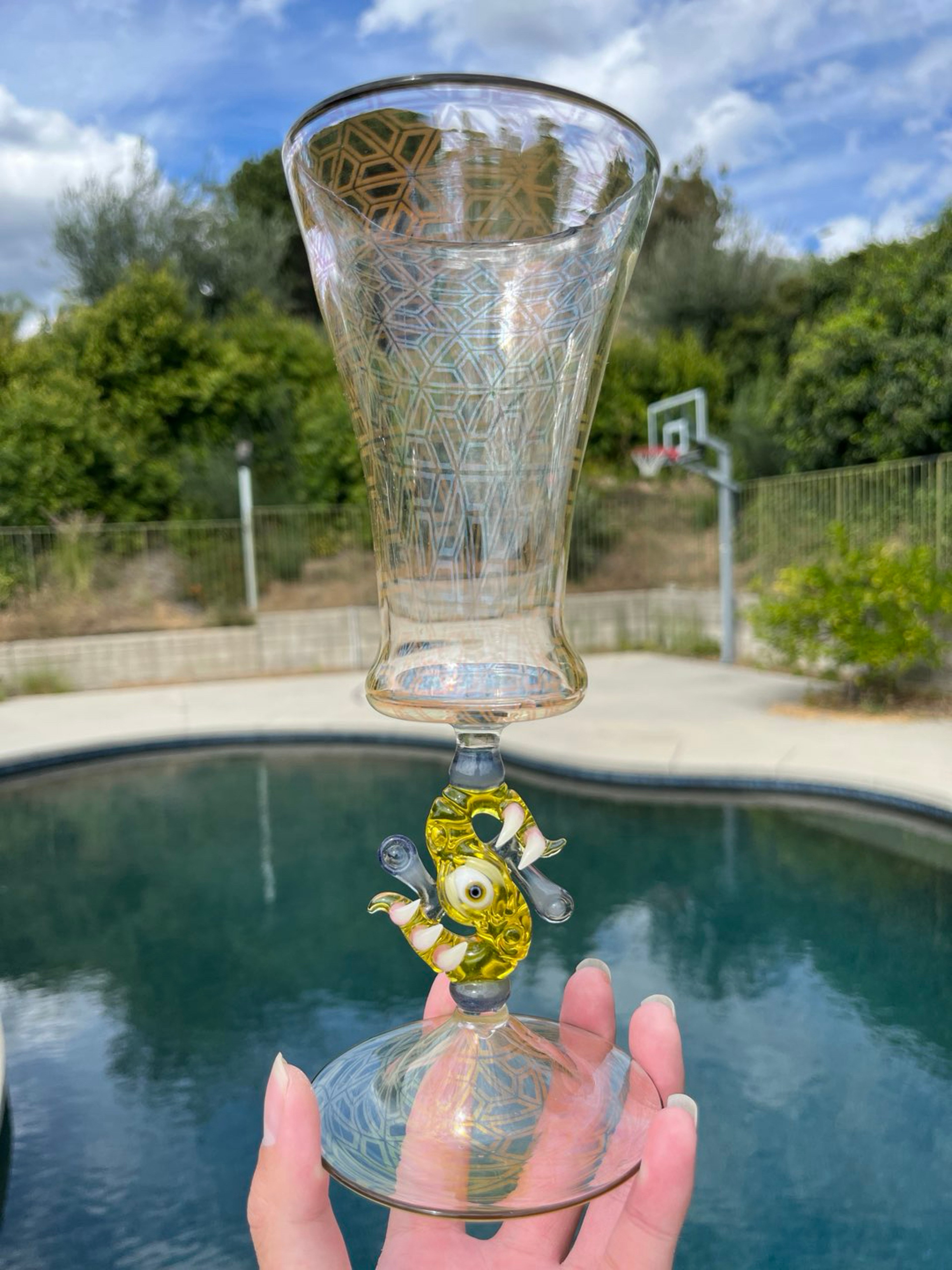 Salt X Christian Luginger CFL Goblit image 0