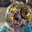 Small image 7