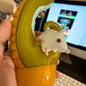 Small image 4