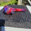 Small image 5