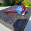 Small image 3