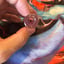 Small image 7