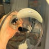 Small image 4