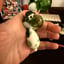 Small image 5