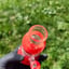 Small image 8