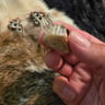 Small image 4