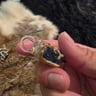Small image 4