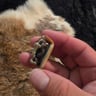 Small image 3