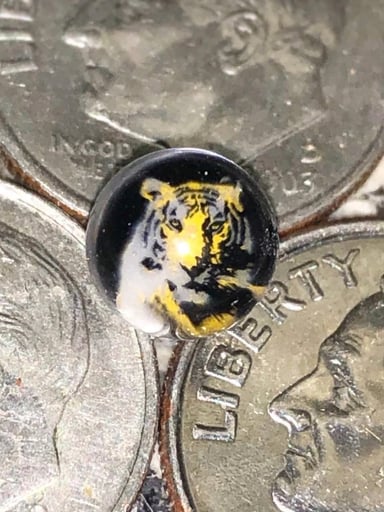 Preview pic of Tiger Pearl
