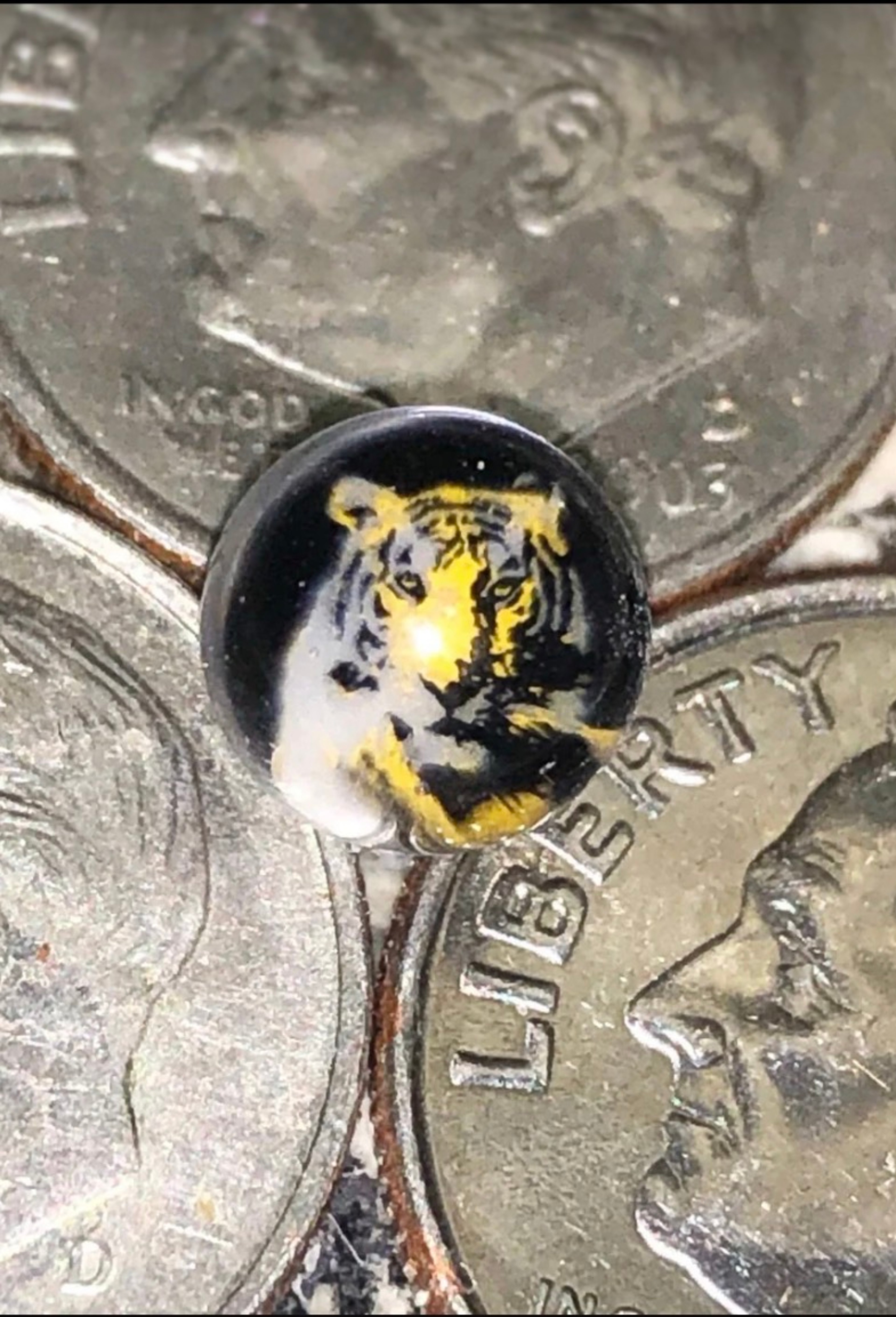 Tiger Pearl image 0