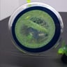Small image 6