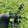 Small image 5