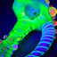 Small image 5