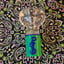Small image 9