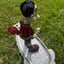 Small image 3