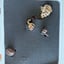 Small image 7