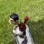 Small image 4