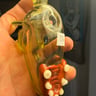 Small image 1