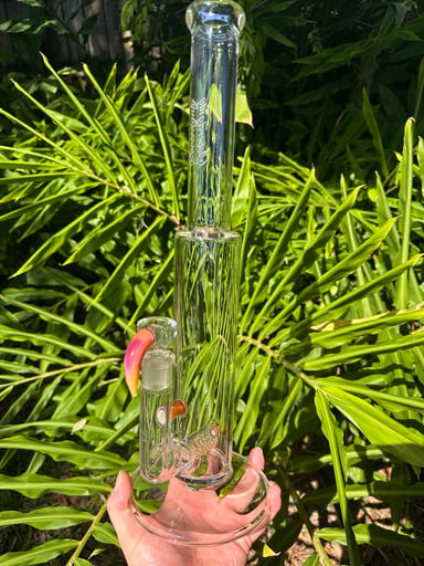 Preview pic of Sovereignty Serendipity Kingstem