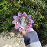 Small image 3
