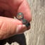 Small image 6