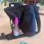 Small image 7