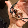 Small image 2