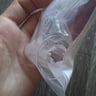 Small image 6