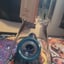 Small image 8